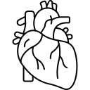 Cardiac